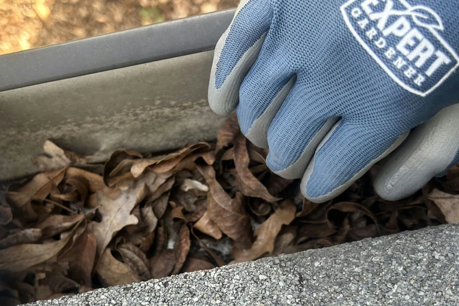 Gutter Cleaning Yukon