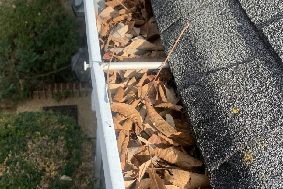 Gutter Cleaning Yukon